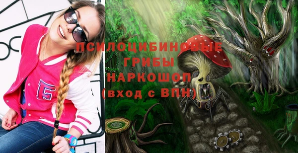 прущие грибы Арсеньев