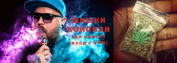 прущие грибы Арсеньев