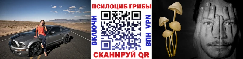 Галлюциногенные грибы Psilocybine cubensis  Волгодонск 